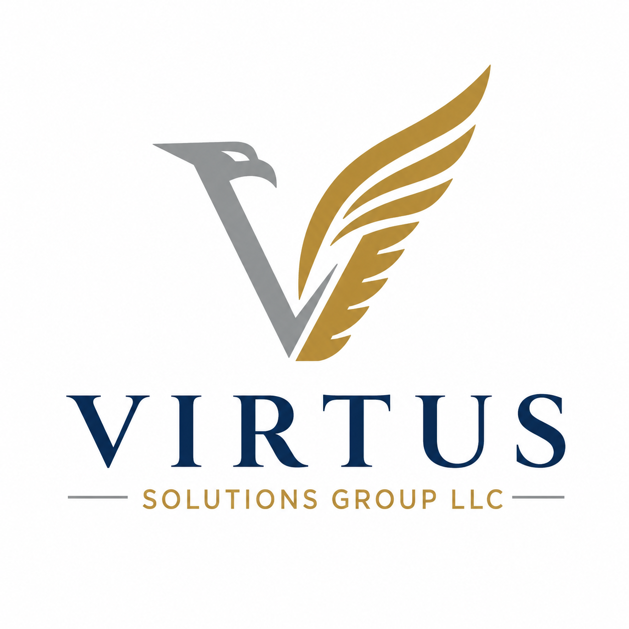 Virtus Solutions Group LLC logo